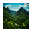 Beautiful Forest Wallpapers APK Download