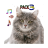 Cat Ringtones Vol3 icon