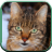 Cat Sounds for KIds icon