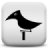 bird sleep sounds APK Download
