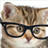Crazy Hipster Cat icon