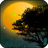 Fireflies Live Wallpapere icon