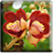 flowerswallpapers icon