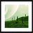 dreamgreen icon