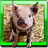 Animal sounds icon
