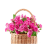 1015 Flowers Live Wallpapers icon