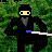 3D Ninja icon