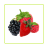 Fruit Picker icon