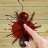 Ant Smasher version v3.8