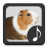 Guinea Pig Sounds APK Download