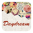 Daydream Life APK Download