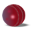 Cricket Facts icon