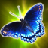 butter-fly icon