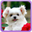 Cute Puppies Gallery icon