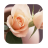 1004 Flowers Live Wallpapers icon