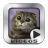 Funny Cats Video Collection icon