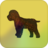 Cockapoo icon