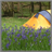 Camping Wallpaper App icon