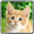 Cat's Sounds icon