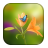 Blowing Flowers HD Wallpaper for whatsappp icon