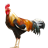 AyamDJ icon
