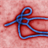 Ebola Radar icon