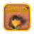 Explosive Screen Lock icon
