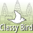 Classy Bird icon