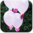 Balloon Decoration icon