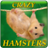 Crazy Hamsters icon