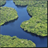 Amazon Rainforest Wallpaper App icon