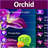 GO SMS Orchid Theme icon