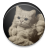 Ghost Cat icon
