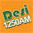 Desi 1250AM icon