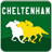 Cheltenham Rider icon