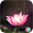 Lotus Wallpapers HD icon