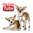 Dogs Funny Videos icon