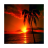 Amazing Sunset Wallpapers icon