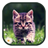 S5 Cat Change Ball Wallpaper icon