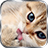 Kitten Zipper Lock icon