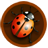 Bug Killing Game icon