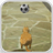 Cat Ball icon