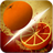 Tomato Fruits icon