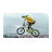 BMX Racing 3D icon