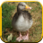 Duck Sounds for KIds icon