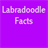 LabradoodleFacts icon