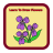 Learn To Draw Flowers icon