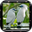 75-Birds Sound icon