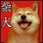 cute cute shiba dog wallpaper version 1.0