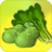 Green Vegetables icon
